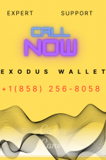 EXODUS WALLET.png